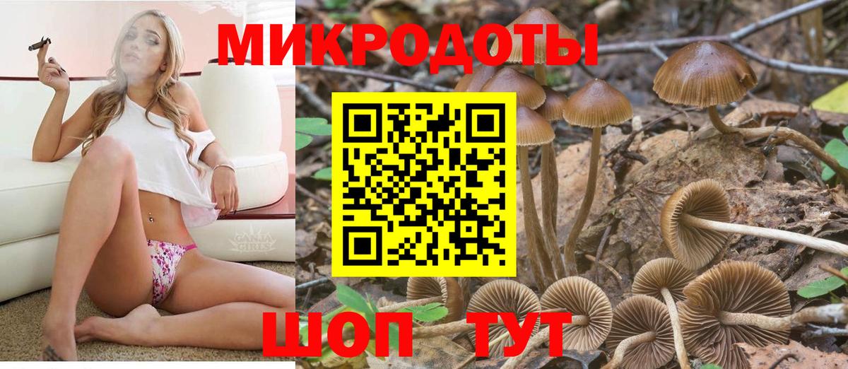 Королёв  Галлюциногенные грибы MAGIC MUSHROOMS  где можно купить наркотик  Псилоцибиновые грибы MAGIC MUSHROOMS  Вход с VPN 