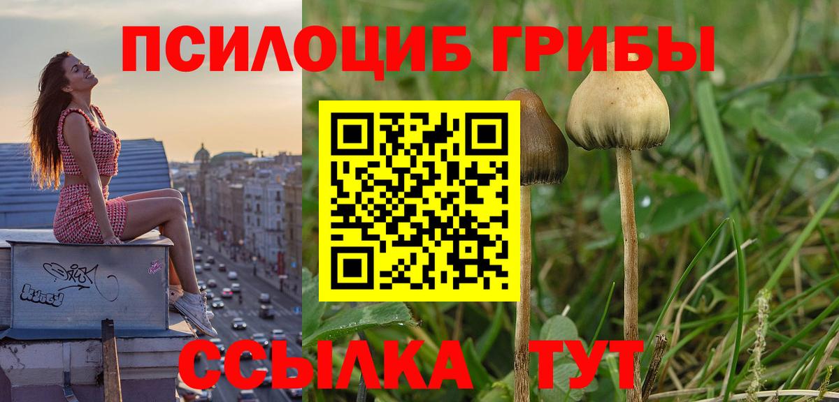 Галлюциногенные грибы GOLDEN TEACHER Королёв